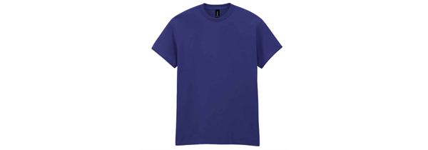 Gildan T-Shirt Bundle x 75