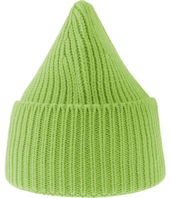 Atlantis Oak Polylana Chunky Cuffed Beanie