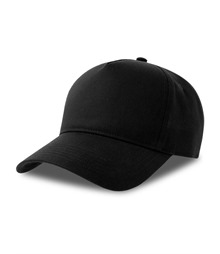Atlantis Egon 5 Panel Structured High Profile Curved Visor Organic Cap