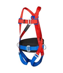 Portwest 2 Point Comfort Harness