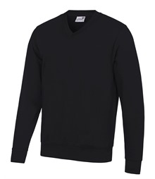 Senior Academy v-neck sweatshirt